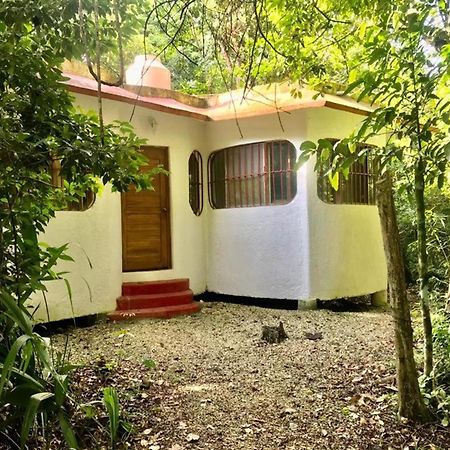 Jolie Jungle Eco Hotel (Adults Only) Leona Vicario Екстериор снимка